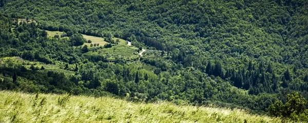 緑の山々の美しい風景の魅惑的なショット — ストック写真