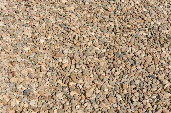 Eine Nahaufnahme Des Bodens Der Tagsüber Mit Kleinen Steinen Gefüllt — Stockfoto