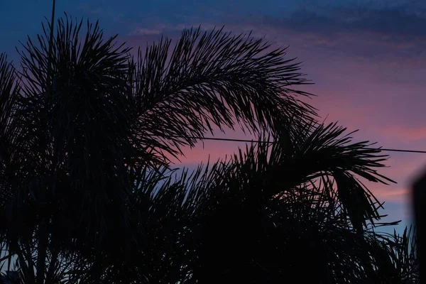 Toto Obrázek Podsvícený Západem Slunce Kde Růžové Modré Barvy Vyplňují — Stock fotografie