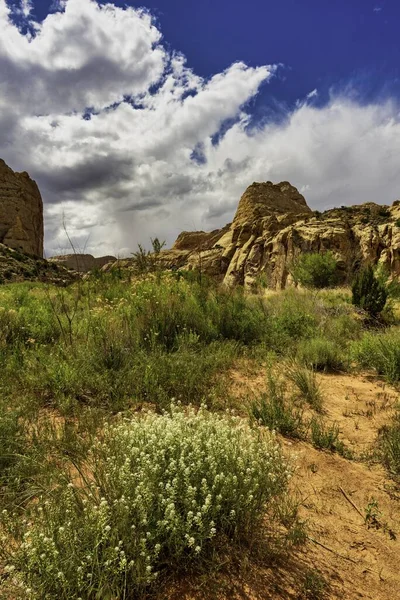 Μια Άποψη Του Capitol Reef National Park Ηπα — Φωτογραφία Αρχείου