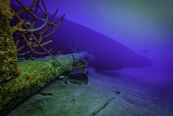 Silhouette Diver Sea — Stock Photo, Image