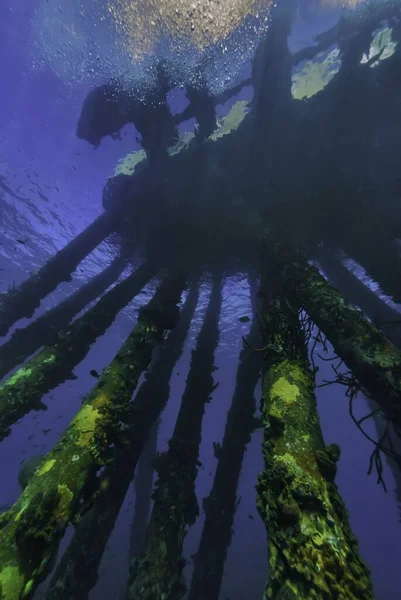 Underwater View Saltwater Pier — Stock Photo, Image