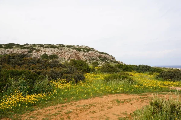 Stones Hills Shore Cyprus — Stock Photo, Image