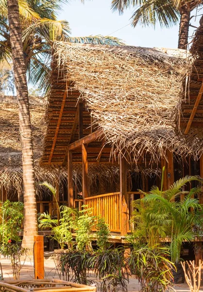 Прекрасні Екокотеджі Бамбука Кокосового Листя Захоплені Гоа Індія — стокове фото