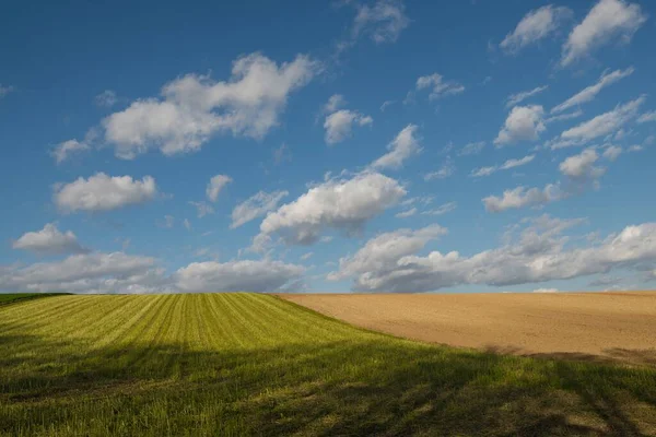 Krajobraz Strzał Piêknej Ziemi Rolniczej Zieleni Pod Błękitnym Zachmurzonym Niebem — Zdjęcie stockowe