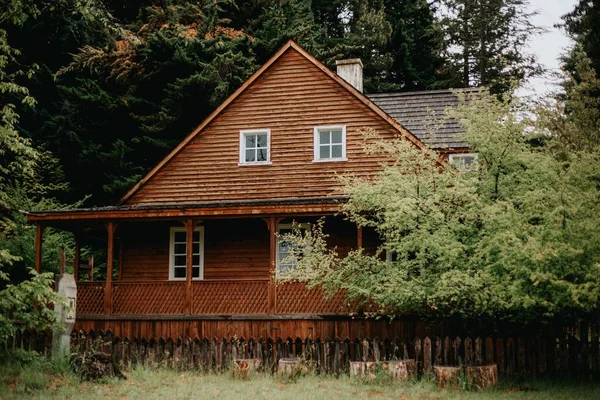 Plan Envoûtant Maison Confortable Parmi Les Arbres Verts — Photo