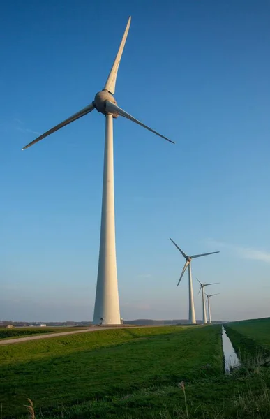 Pionowy Strzał Wysokich Turbin Wiatrowych Wzdłuż Westermeerdijk Holandii — Zdjęcie stockowe