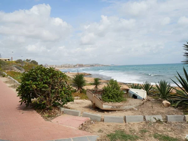 Uma Praia Com Palmeiras Resort Durante Dia — Fotografia de Stock