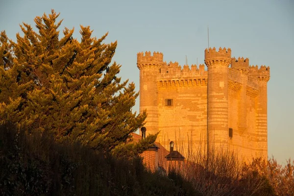 Історичний Замок Іспанії Під Час Заходу Сонця Деревом Передньому Плані — стокове фото