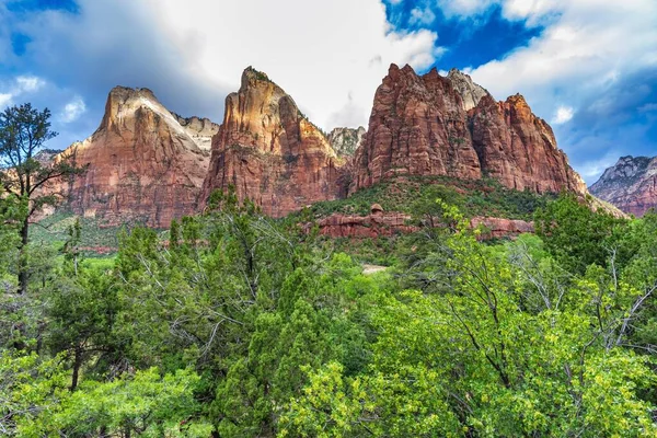 Hermoso Paisaje Verano Las Rocas Árboles Verdes Parque Nacional Zion —  Fotos de Stock