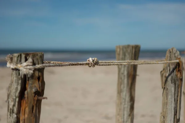 Close Shot Thread Holding Wood Sticks Together Shoreline — Stock Photo, Image