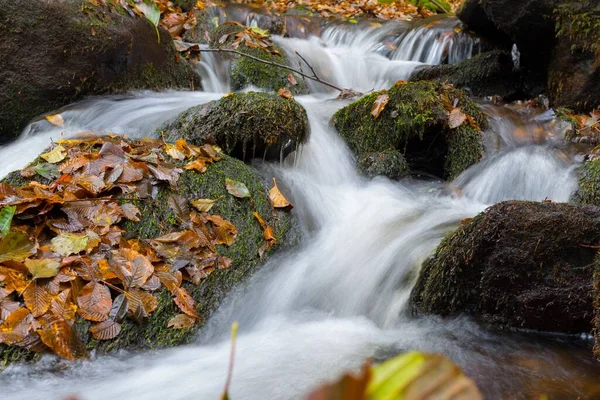 Крупный План Природного Водопада Покрытого Красивыми Осенними Листьями — стоковое фото