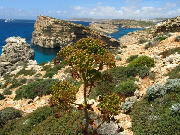 Comino Malta Dubna 2014 Trajektové Lodě Gozo Channel Používané Pro — Stock fotografie
