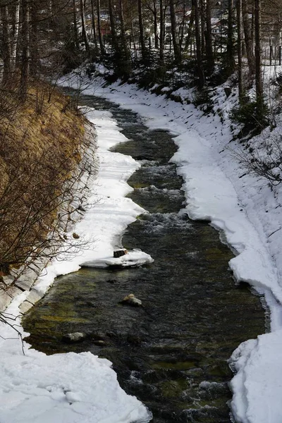 Pequeno Riacho Cercado Por Árvores Parcialmente Coberto Neve Durante Inverno — Fotografia de Stock