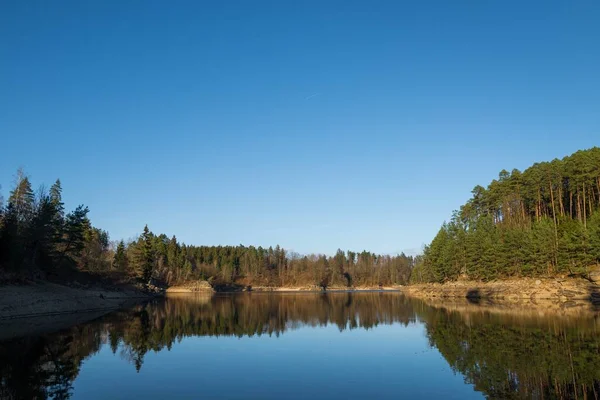 Una Hermosa Toma Lago Reflejando Árboles Forestales Bajo Cielo Azul —  Fotos de Stock