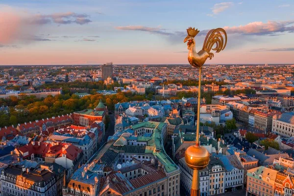 Bir Binanın Tepesindeki Altın Horoz Riga Letonya Daki Daugava Nehri — Stok fotoğraf