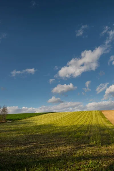 Piękny Krajobraz Łąk Pod Niebem Puszystymi Chmurami — Zdjęcie stockowe