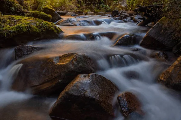 Čistá Voda Tekoucí Skalnatou Řekou Lese — Stock fotografie