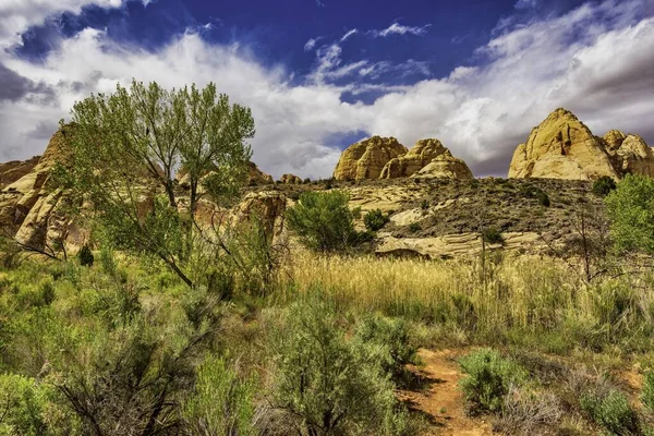 Blick Auf Den Capitol Reef National Park Usa — Stockfoto