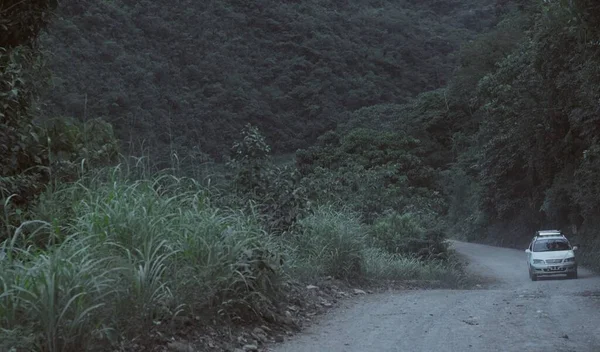 Une Photo Une Voiture Dans Rue Entourée Verdure — Photo