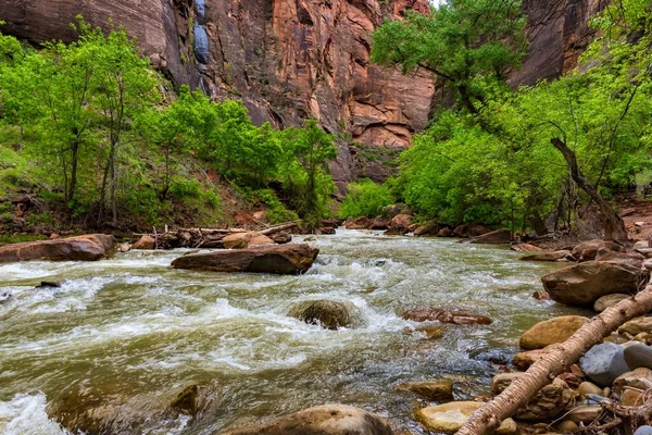 Flod Vid Zion National Park Utah Usa Dyster Dag — Stockfoto