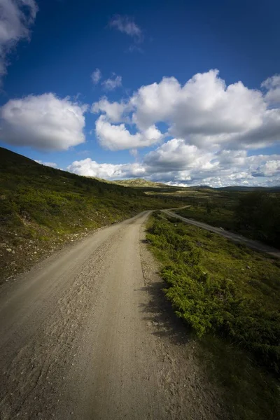 Vertikal Bild Landskapet Med Grusväg Som Leder Avståndet — Stockfoto