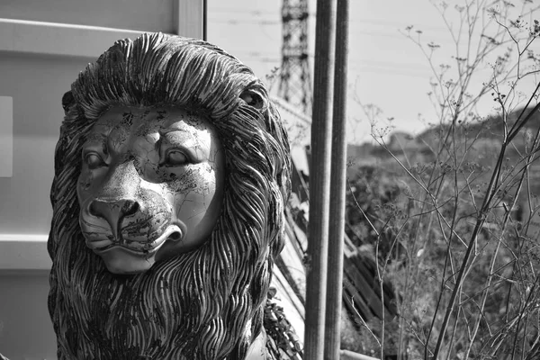 Mellieha Malta Octubre 2014 Estatua León Desechada Agrietada Abandonada Rodeada — Foto de Stock