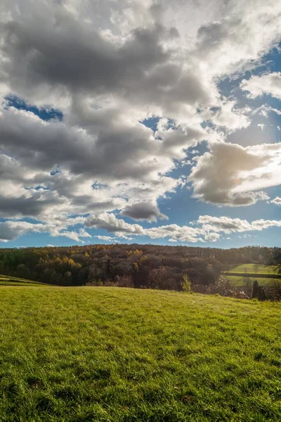 Hipnotyzujący Strzał Zielonej Żywej Łąki Pod Chmurnym Niebem — Zdjęcie stockowe