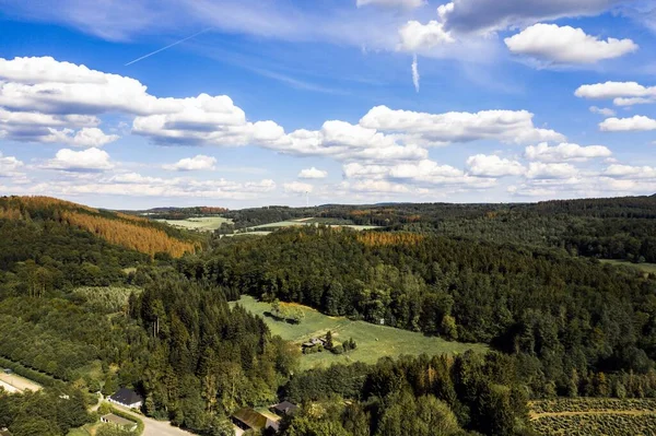 Flygbild Ett Bergslandskap Täckt Med Träd — Stockfoto