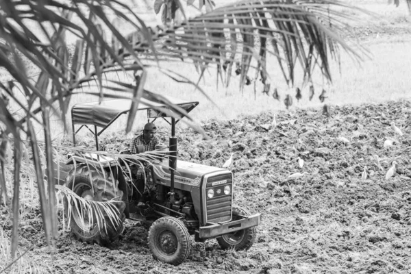 Güney Goa India Mayıs 2020 Goa Hindistan Önplanda Traktörle Tarım — Stok fotoğraf