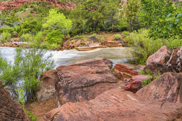 Flod Som Rinner Bland Klipporna Zion National Park Utah Usa — Stockfoto