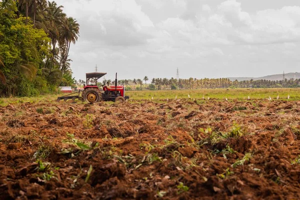 Zuid Goa India Mei 2020 Landbouwlandschap Goa India Met Tractor — Stockfoto
