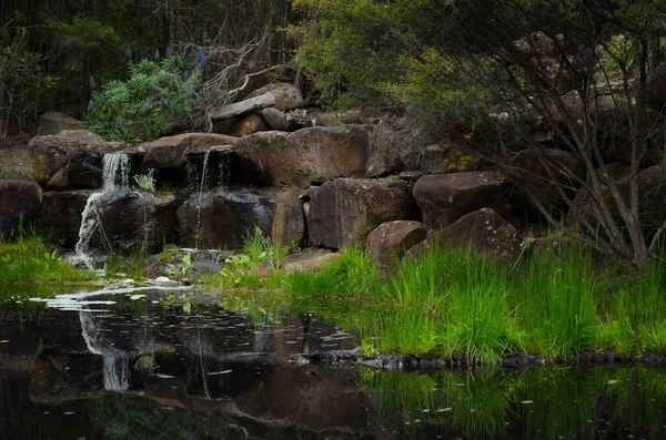 Ett Vackert Vattenfall Fågelparker Ballarat Victoria — Stockfoto