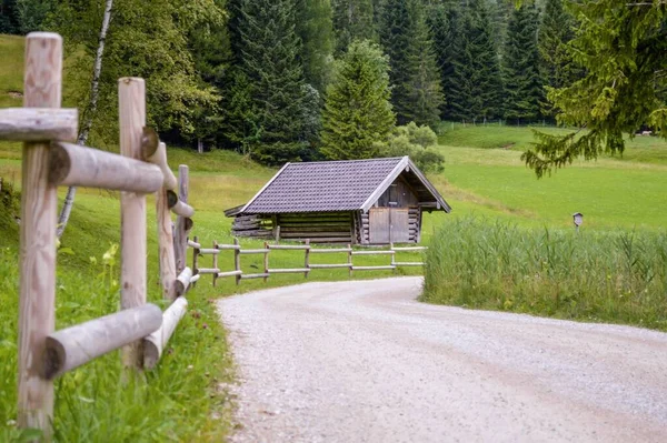 田舎の木々や緑に囲まれた小さな家の美しい景色 — ストック写真