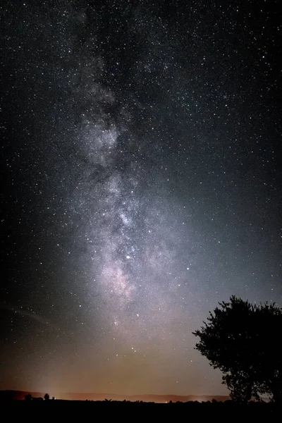 星でいっぱいの美しい夜空の垂直ショット — ストック写真