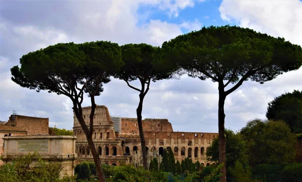 Uma Bela Vista Coliseu Através Árvores Roma Itália — Fotografia de Stock
