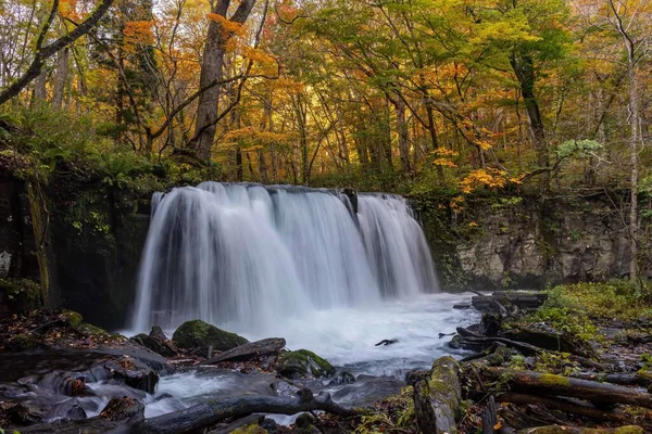 Famosa Cascata Choshi Otaki Nella Prefettura Aomori Giappone — Foto Stock