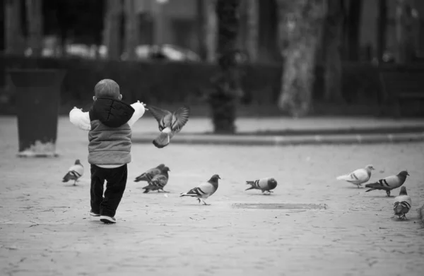 Una Foto Escala Grises Niño Jugando Con Palomas Parque Luz — Foto de Stock