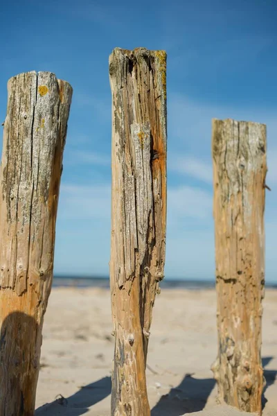 Algumas Velhas Madeiras Ásperas Espetadas Areia Mar Fundo Desfocado — Fotografia de Stock