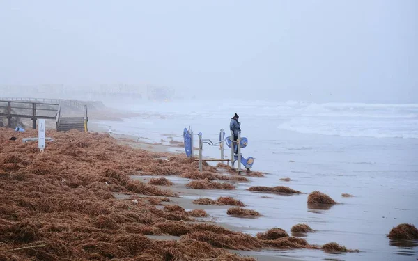 Жінка Стоїть Пляжі Взимку — стокове фото