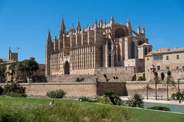 Magnificent Cathedral Baslica Santa Mara Mallorca Captured Palma Spain — Stock Photo, Image