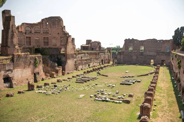 Eine Atemberaubende Aufnahme Der Ruinen Des Palatin Museums Auf Dem — Stockfoto