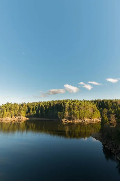 Прекрасна Сцена Озера Лісу Відображає Поверхню Озера — стокове фото