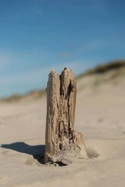 Een Oud Ruw Hout Gestoken Zand Het Zanderige Oppervlak Achtergrond — Stockfoto