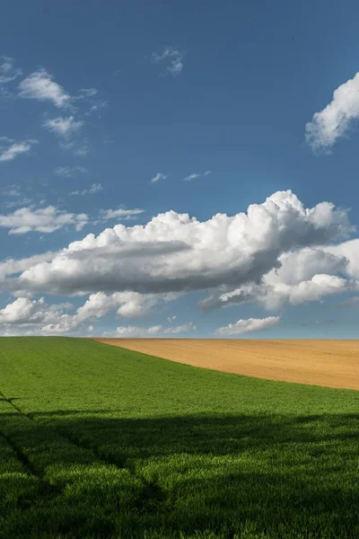 Uma Bela Paisagem Grandes Pradarias Nuvens Fofas Céu — Fotografia de Stock