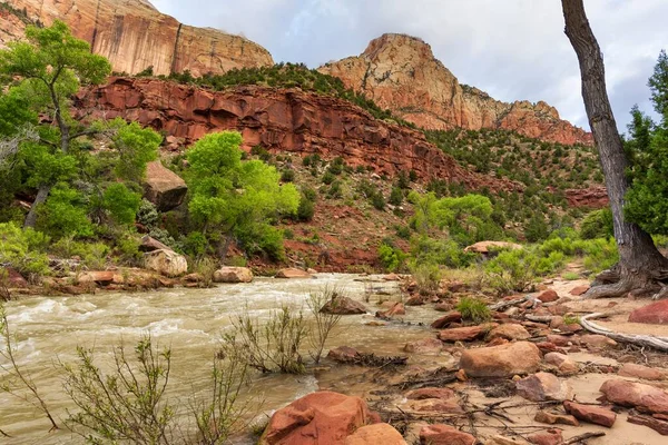 Flod Vid Zion National Park Utah Usa Dyster Dag — Stockfoto