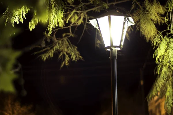 Close Poste Luz Parque Durante Uma Noite Romântica — Fotografia de Stock