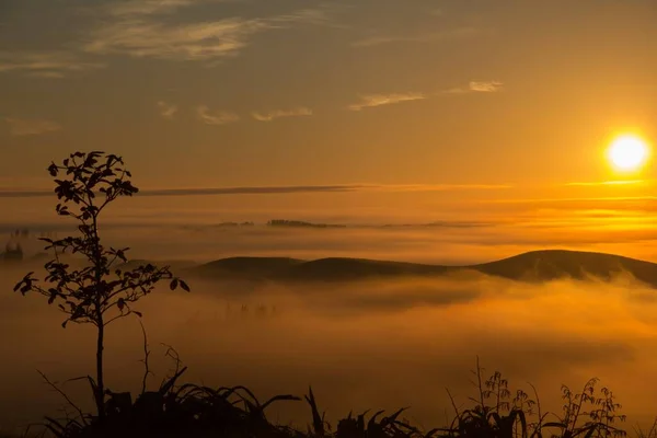 Breathtaking View Trees Foggy Hills Captured Sunset Hawke Bay New — стоковое фото