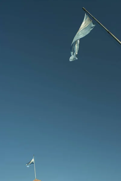 Вертикальный Выстрел Аргентинских Флагов Размахивающих — стоковое фото