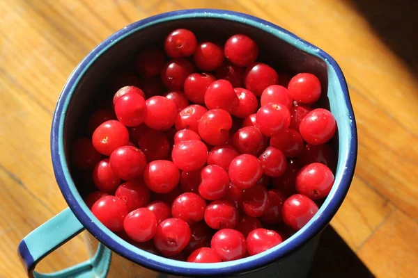 Gros Plan Délicieuses Cerises Dans Une Tasse Acier Bleu — Photo